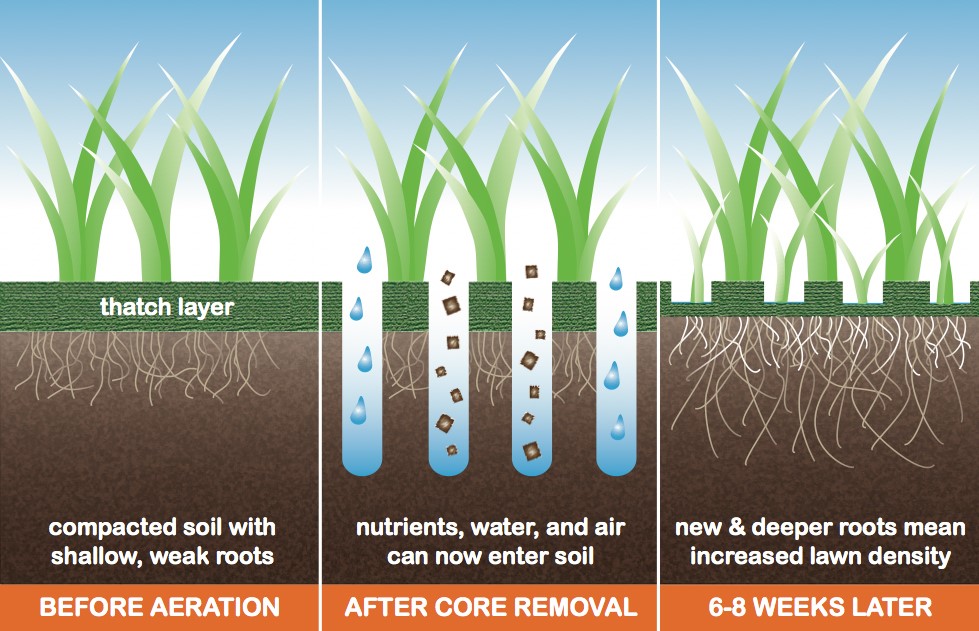 Core Aeration Process Infographic