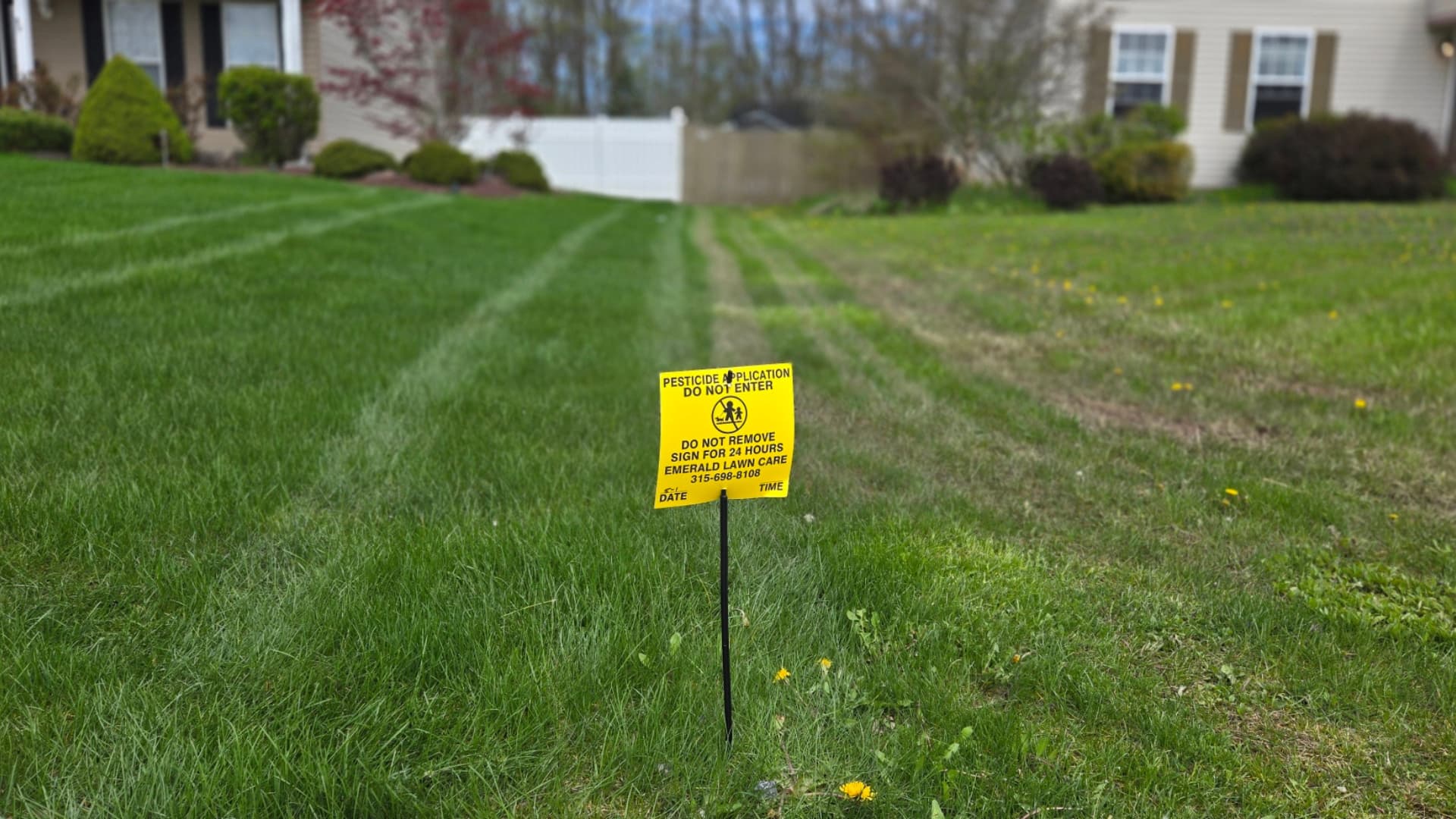 Before and after lawn treatment results